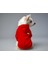 Kedi ve Köpek Kıyafeti & Elbisesi - Kırmızı Hoodie Çiçekli Cep 1