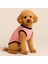 Yeni Sezon Köpek ve Kedi Kıyafeti - Pembe Mickey Mouse 2