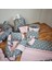 Koyu Yıldız Pudra 16 Parça Babynest Seti 2