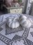 2’li Seramik Kabak Set, Kabak Dekor, Pumpkin 2