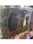 Minecraft Karakter 10CM (Model 3 ) AD68518 1