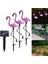 3pcs/ Set Flamingo Güneş Işıkları Bahçe Pembe Su Geçirmez LED Işık Çim Lambası (Yurt Dışından) 3