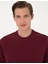 Erkek Bordo 2 Iplik Regular Fit Bisiklet Yaka Basic Sweatshirt 50314054-VR014 2