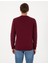 Erkek Bordo 2 Iplik Regular Fit Bisiklet Yaka Basic Sweatshirt 50314054-VR014 5