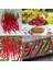 Cayenne Kırmızı Kıl Biber Tohumu Chili Pepper Çok Acı 2