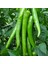 Tatlı Sivri Biber Tohumu Capsicum Annuum 3