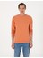 Erkek Somon 2 Iplik Regular Fit Bisiklet Yaka Basic Sweatshirt 50314054-VR047 3