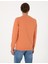 Erkek Somon 2 Iplik Regular Fit Bisiklet Yaka Basic Sweatshirt 50314054-VR047 5