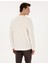 Erkek Ekru Regular Fit Sweatshirt 50313762-VR019 5