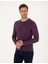 Erkek Mor Slim Fit Bisiklet Yaka Basic Triko Kazak 50314192-VR038 3