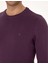 Erkek Mor Slim Fit Bisiklet Yaka Basic Triko Kazak 50314192-VR038 7