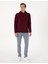 Erkek Bordo 2 Iplik Regular Fit Içi Polarlı Kapüşonlu Basic Sweatshirt 50314055-VR014 4