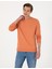 Erkek Somon 2 Iplik Regular Fit Bisiklet Yaka Basic Sweatshirt 50314054-VR047 1