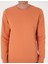 Erkek Somon 2 Iplik Regular Fit Bisiklet Yaka Basic Sweatshirt 50314054-VR047 6