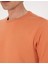 Erkek Somon 2 Iplik Regular Fit Bisiklet Yaka Basic Sweatshirt 50314054-VR047 7
