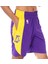 Los Angeles Lakers Nba Practice 18 Erkek Mor Basketbol Şortu AJ5077-504 1