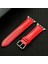 Apple Watch 3 4 5 6 7 8 9 Se 38 40 41MM Kalite Deri Kordon 1