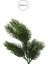 Yapay Çam Dalı Yeşil 15 cm 2
