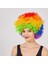 Rengarenk Kıvırcık Afro Bonus Peruk (3791) 1