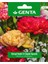Prestige Karışık Renkli Iri Çiçekli Karanfil Tohumu – Kalıcı, Kokulu ve Pozitif Gelişimli Bahçe Çiçeği 1