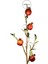 Yapay Nar Dalı Yapraklı Yeşil Kırmızı 90 cm 2