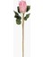 Protea Dal Pembe 68 cm 1
