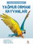 Ilk Sorular ve Cevaplarla - Yağmur Ormanı Hayvanları 1