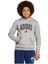 Çocuk Gri Sweatshirt J Clgt Oh Fl Hd JV7336 2