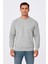 Erkek Üç Iplik Düz Bisiklet Yaka Sweatshirt - Gri 1