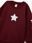 Pamuklu Bisiklet Yaka Şardonlu Pullu Yıldız Işlemeli Sweatshirt 3