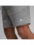 Mj Fleece Short Erkek Şort FJ7782-091 5