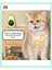 Avokado Catnip Avokado Kedi Otu Topu Avokado Kedi Nanesi Oyuncağı 8