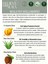 %100 Doğal Isırgan Tohumu Yağı El ve Cilt Sıvı Sabunu - E-Vitamini Aloe Vera Shea Butter - 500 ml 3