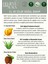 %100 Doğal Sedir Katranı Sıvı Sabunu - E-Vitamini Aloe Vera Shea Butter Katkılı - 500 ml 3