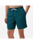 Erkek Yeşil Regular Fit Deniz Şortu 5