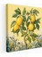 Limon Ağacı Tablo Sanatı - Limon Ağacı Vintage Zarafet Duvar Dekorasyonu Kanvas Tablo Sanatı 1