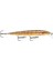 Scatter Rap Minnow Tr 11 cm 6g Maket Balık 1.8-2.7 M Yüzme Derinliği 2