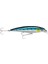 X-Rap Saltwater Bsrd 14 cm 43G Maket Balık 1.2-2.4 M Yüzme Derinliği 2