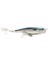 Skitter Pop Saltwater Mu 12 cm 40G Su Üstü Maket Balık 1