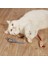 Peluş Fare Kedi Oyuncağı 3 Adet 1