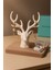Geyik Figürlü Dekoratif Takı Standı & Duvar Süsü – Minimalist & Zarif Tasarım 6
