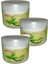 Bamya Tohumu Kremi Vücut Sızıları Için 100 ml x 3 1