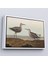 Çerçeveli Dekoratif Kanvas Tablo, John James Audubonun Birds Of America TABLOSU-7011 4