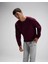 Bordo Erkek Sweatshirt EM579 4