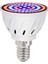 Iç Mekan Bitkileri, Sukulentler, Bahçe Çiçekleri Için 60 Led'li Tam Spektrumlu Büyüme Ampulü, E14,220V (Yurt Dışından) 1
