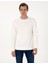 Erkek Ekru 3 Iplik Regular Fit Bisiklet Yaka Basic Sweatshirt 50314978-VR019 1