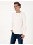 Erkek Ekru 3 Iplik Regular Fit Bisiklet Yaka Basic Sweatshirt 50314978-VR019 3