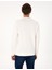 Erkek Ekru 3 Iplik Regular Fit Bisiklet Yaka Basic Sweatshirt 50314978-VR019 5