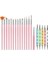 Nail Art Tırnak Süsleme Desen Fırça 15'li ve Dot Kalem Seti 5'li (Pembe) 1