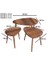 MDF Alvin Zigon Orta Sehpa Seti Ahşap Oval Tasarım Kahverengi 3'lü 80x60 cm 4